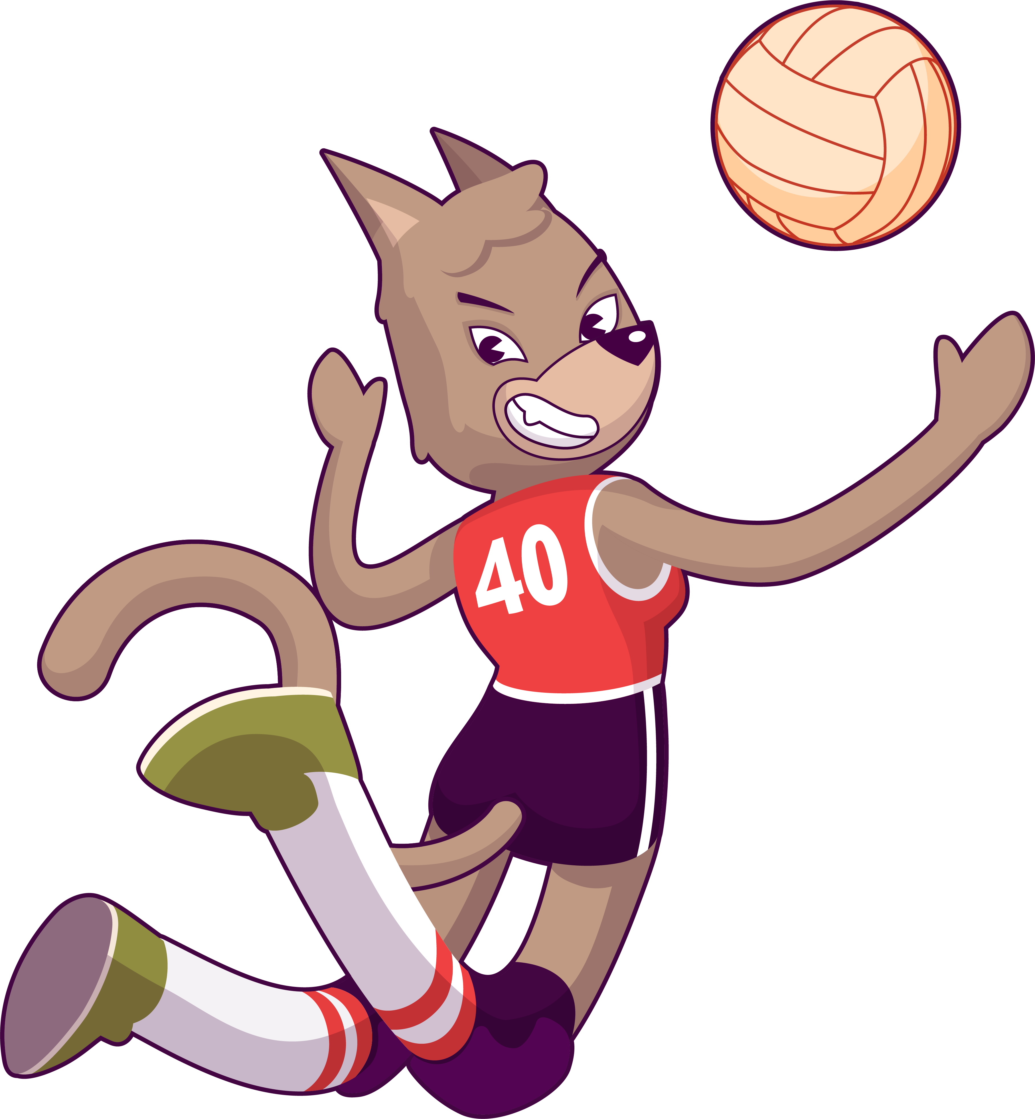 Voleibol de Sala