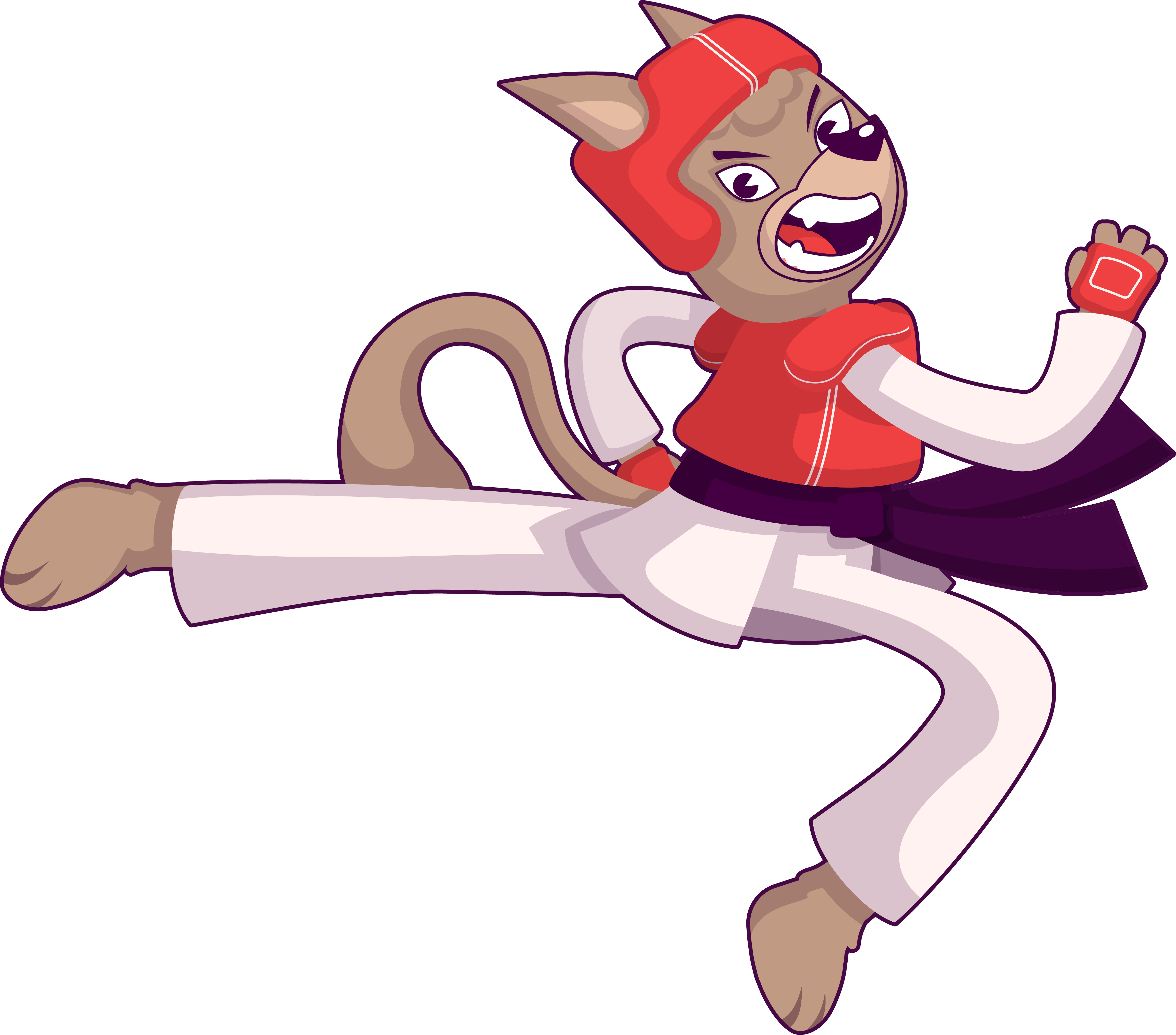 Taekwondo