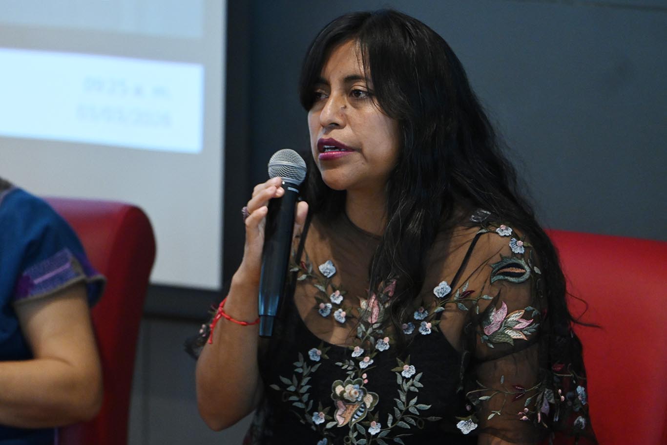 Ana Leticia Hernandez Velez, IBERO Leon